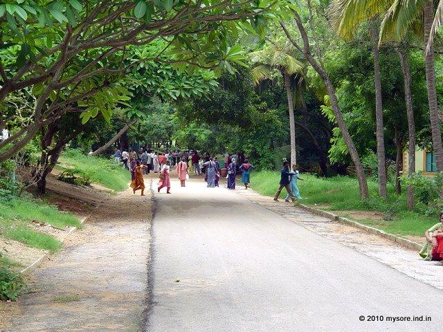 mysore zoo live streaming free